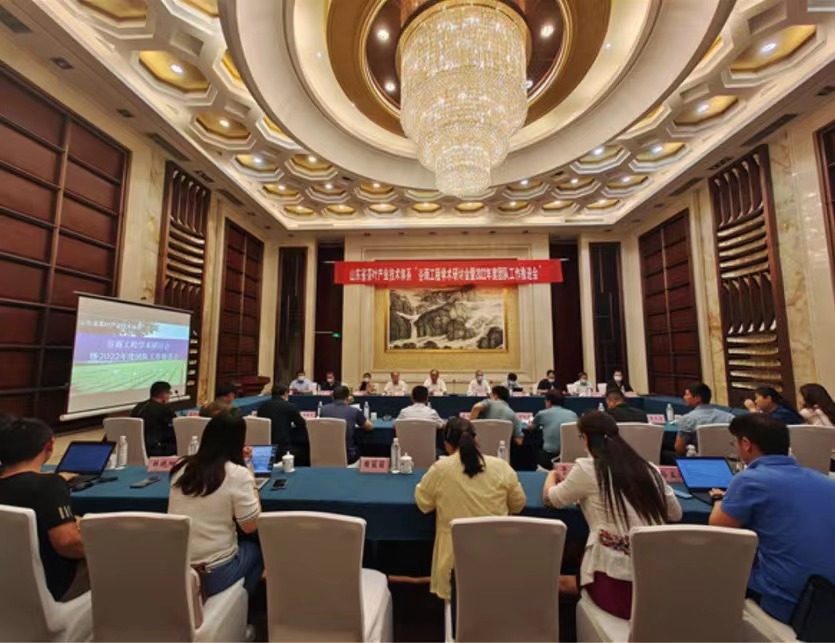 1654049468970179.jpg 泰安5.jpg
